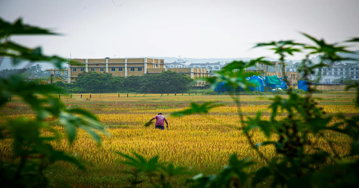 What I Learnt Building a Farmstay from Scratch — Lessons for Travellers